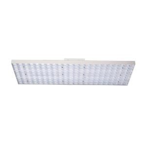 Draconis LED lámpa