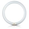 G10q 40W 840 fluoreszk. gyűrű Master Circular TL-E