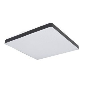 Raina LED mennyezeti lámpa