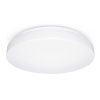 STEINEL RS Pro LED P1 Flat S lámpa