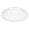 STEINEL RS Pro LED P2 Flat S lámpa