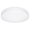 STEINEL RS Pro LED P2 Flat S lámpa