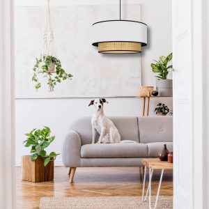 rattan
