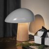 FRITZ HANSEN Night Owl lámpa