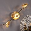 LED fali lámpa Bloom három izzós arany