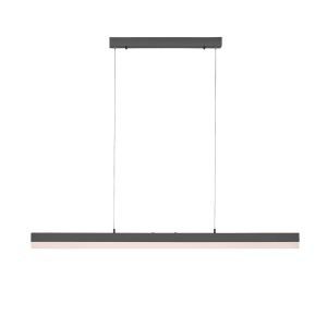 Paul Neuhaus Sina LED függő lámpa CCT Touch