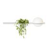 Vibia Palma 3702 fali lámpa