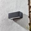LED külső fali lámpa Gemini 22 cm 4 000 K antracit
