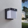 LED kültéri fali lámpa Adenike érzékelővel
