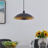 Lindby Narisara függő lámpa fekete-arany 1izz 40cm