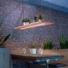Paul Neuhaus Palma LED függő lámpa CCT le