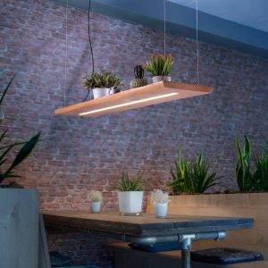 Paul Neuhaus Palma LED függő lámpa CCT le