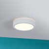 Paulmann Aviar LED lámpa Ø22cm feh. 3000K