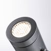 Paulmann Radix LED földi tüskés lámpa 230V