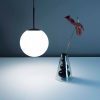 Tom Dixon Globe LED függő lámpa