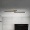 Frame LED mennyezeti 2 izzós 110x25cm CCT arany