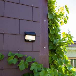 LED napelemes falilámpa Try mozgásérzékelővel