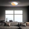 LED mennyezeti lámpa 3767014 CCT-Switch IP44