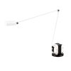 Lumina Daphine LED asztali lámpa 3000K