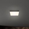 Flame LED mennyezeti lámpa