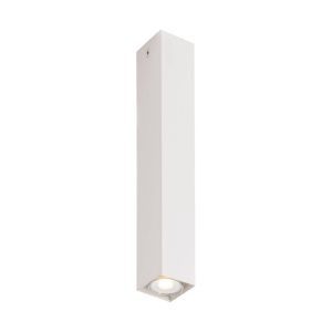 Fluke downlight