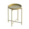 Hanah Home Coffee Table Gold Shb-007-A