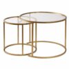 Hanah Home Coffee Table Set Gold Transparent Aurum - 60