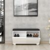 Hanah Home Shoe Cabinet White Drago - White
